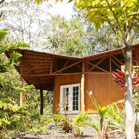 Kalani Oceanside Retreat Villa Pahoa Luaran gambar