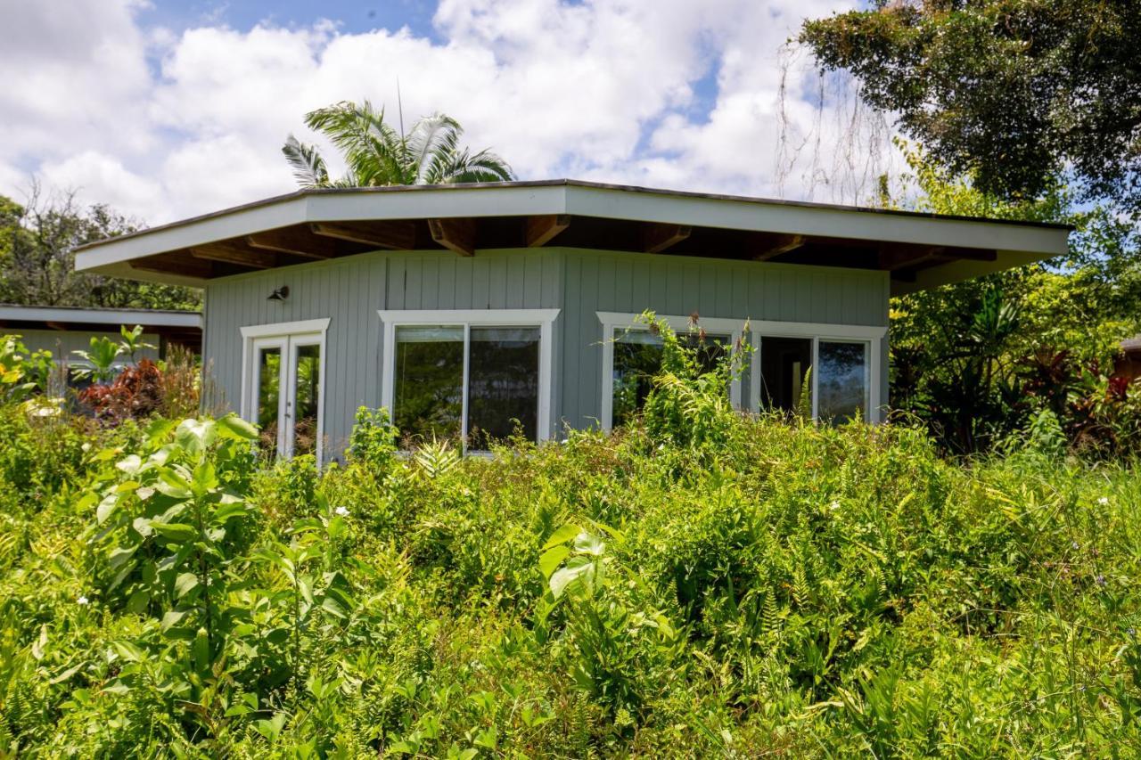 Kalani Oceanside Retreat Villa Pahoa Luaran gambar