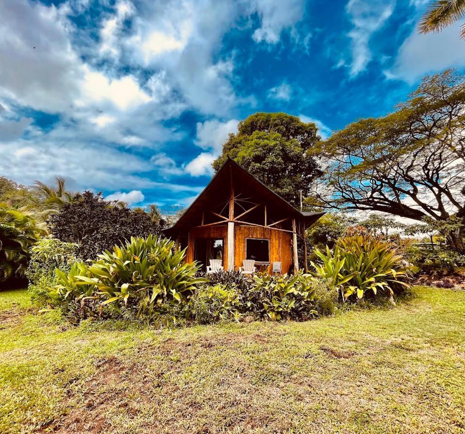 Kalani Oceanside Retreat Villa Pahoa Luaran gambar